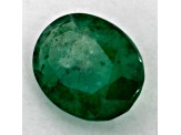Zambian Emerald 7.95x6.06mm Oval 1.06ct