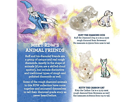 Diamond 2 Ruff Ruff’s Diamond World Book - 132B3A | JTV