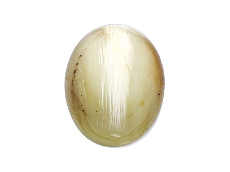 Opal Cat's Eye 16.5x13.5mm Oval Cabochon 12.84ct