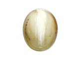 Opal Cat's Eye 16.5x13.5mm Oval Cabochon 12.84ct