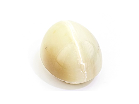 Opal Cat's Eye 16.5x13.5mm Oval Cabochon 12.84ct