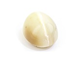 Opal Cat's Eye 16.5x13.5mm Oval Cabochon 12.84ct