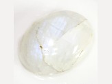 Moonstone 15.74x11.83mm Oval Cabochon 8.40ct