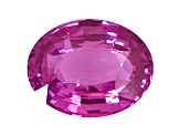 Pink Sapphire Loose Gemstone Unheated 11.30x9.00mm Oval 4.03ct
