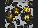 Meteorite Seymchan Pallasite 5x4cm Slab