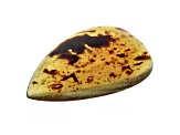 Sumatran Amber 52.5x30.5mm Pear Shape Cabochon 24.18ct