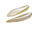 Natural Tennessee Freshwater Pearl Wing Shape Pair 6.25ctw