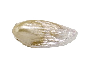 Natural Freshwater Golden Tennessee Pearl 22.9x9.7mm Wing Shape 8.86ct