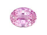 Pink Sapphire Loose Gemstone 8x6.1mm Oval 1.59ct