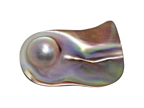 Cultured Saltwater Blister Pearl 50x30mm
