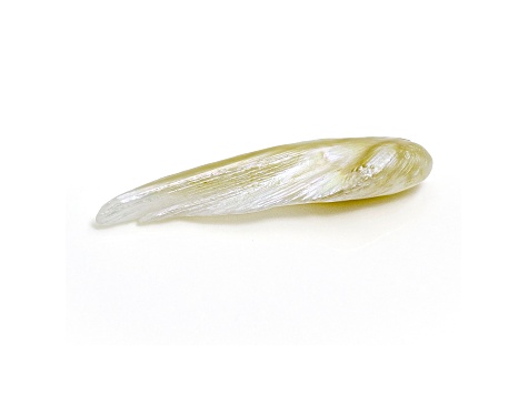 Natural Tennessee Freshwater Golden Pearl 20x4.5mm Wing Shape 1.53ct