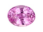 Pink Sapphire Loose Gemstone 9.2x7.2mm Oval 2.9ct