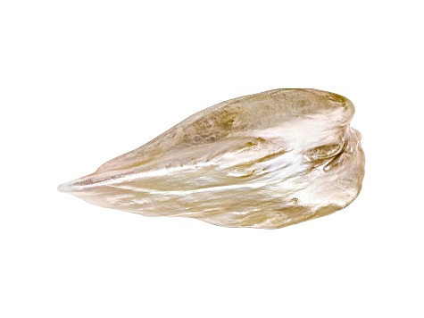 Natural Tennessee Freshwater Golden Pearl 18.2x8.3mm Wing Shape 2.41ct
