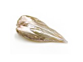 Natural Tennessee Freshwater Golden Pearl 18.2x8.3mm Wing Shape 2.41ct