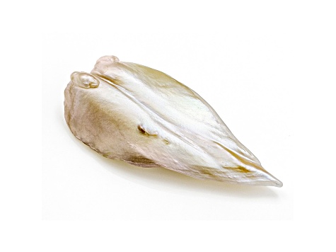 Natural Tennessee Freshwater Golden Pearl 18.2x8.3mm Wing Shape 2.41ct