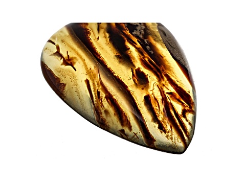 Sumatran Amber 53.6x33.6mm Pear Shape Cabochon 30.14ct