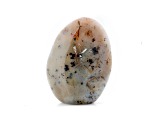 Dendritic Agate Free-Form 6.5x4.5in
