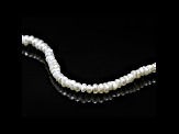 Freshwater Cultured Pearl 2.5mm Button Shape Bead Strand 16"