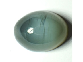 Nephrite Jade Cat's Eye 7.75x5.91mm Oval Cabochon 1.27ct