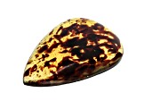 Sumatran Amber 44.5x26.5mm Pear Shape Cabochon 16.45ct
