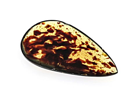 Sumatran Amber 44.5x26.5mm Pear Shape Cabochon 16.45ct