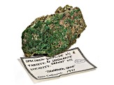 Canadian Diopside And Garnet 7.7x5.2x4.7cm Mineral Specimen