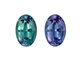 Alexandrite 5.1x3.4mm Oval 0.35ct