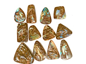 Boulder Opal Free-Form Cabochon Set of 12 88ctw
