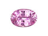 Pink Sapphire Loose Gemstone Unheated 7.78x5.41mm Oval 1.19ct