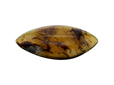 Sumatran Amber 55.5x27.5mm Marquise Cabochon 30.50ct