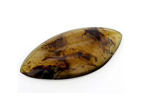 Sumatran Amber 55.5x27.5mm Marquise Cabochon 30.50ct