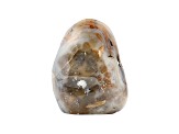 Dendritic Agate Free-Form 5.5x4.0in