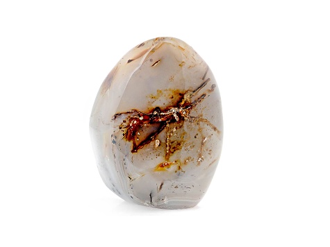 Dendritic Agate Free-Form 4.0x3.5in