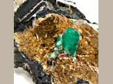 Colombian Coscuez Emerald Crystal on Matrix 19.2x13.4cm Specimen