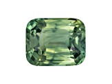 Green Sapphire Loose Gemstone 9.6x7.7mm Cushion 4.05ct