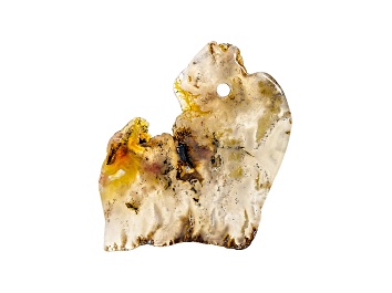 Picture of Oregon Graveyard Point Plume Agate 55x45mm Free-Form Slab Focal Bead