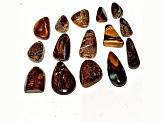 Boulder Opal Pre-Drilled Free-Form Cabochon Set of 15 153ctw