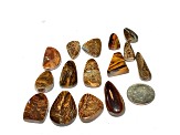Boulder Opal Pre-Drilled Free-Form Cabochon Set of 15 153ctw
