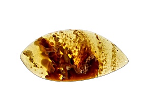 Sumatran Amber 44.5x21.7mm Free-Form Cabochon 14.90ct