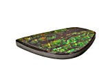 Ammolite Doublet 24.28x12.19mm Free-Form 7.46ct