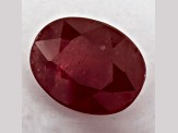 Ruby 7.72x5.91mm Oval 1.5ct