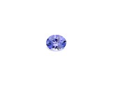 Tanzanite 12x10mm Oval 6.38ct