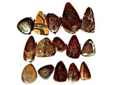 Australian Boulder Opal Free-Form Cabochon Set of 15 164.00ctw
