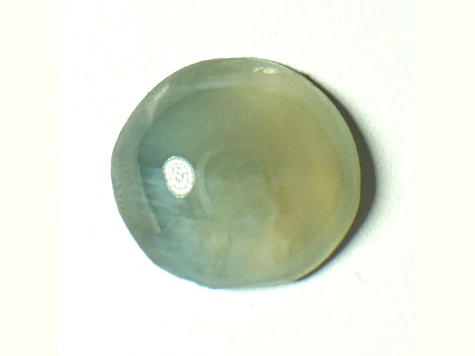 Nephrite Jade Cat's Eye 4.5mm Round Cabochon 0.20ct