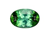 Green Tourmaline 11.1x7.5mm Oval 2.67ct