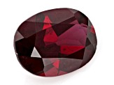 Anthill Garnet 7x5mm Oval 0.70ct