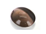 Sillimanite Cat's Eye 12.7x10.9mm Oval Cabochon 6.47ct
