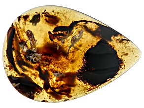 Sumatran Amber 52.2x36.4mm Pear Shape Cabochon 33.09ct