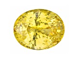 Yellow Sapphire Loose Gemstone Unheated 13.29x10.69mm Oval 8.60ct