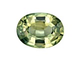 Green Sapphire Loose Gemstone 6.8x5.1mm Oval 0.81ct